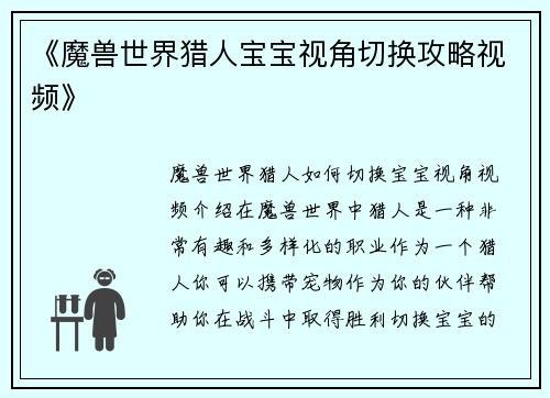 《魔兽世界猎人宝宝视角切换攻略视频》